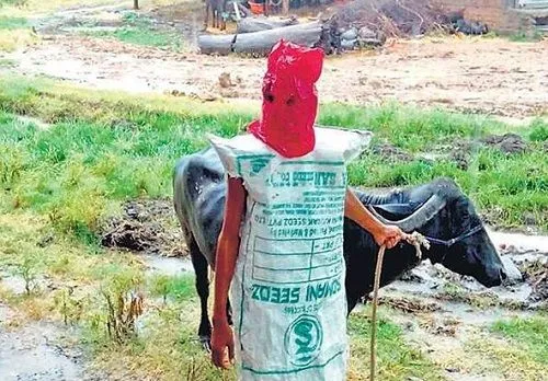 बारिश में भीगने से बचने के उपाय